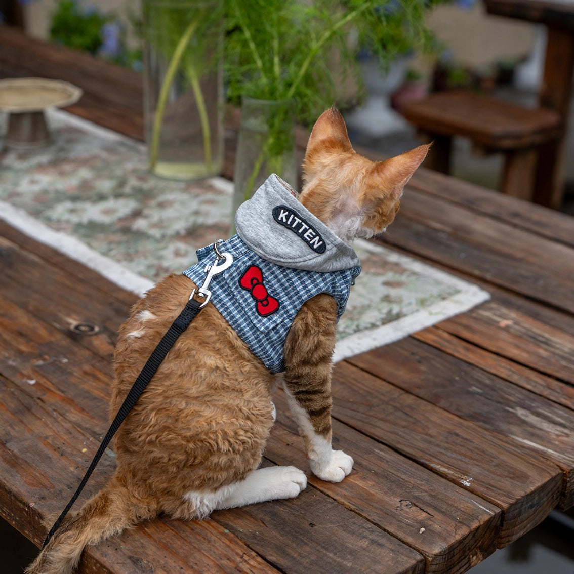 Hoodie Harness & Leash Cat Outdoor Accessories