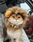 Lion Mane Wig Cat Costume
