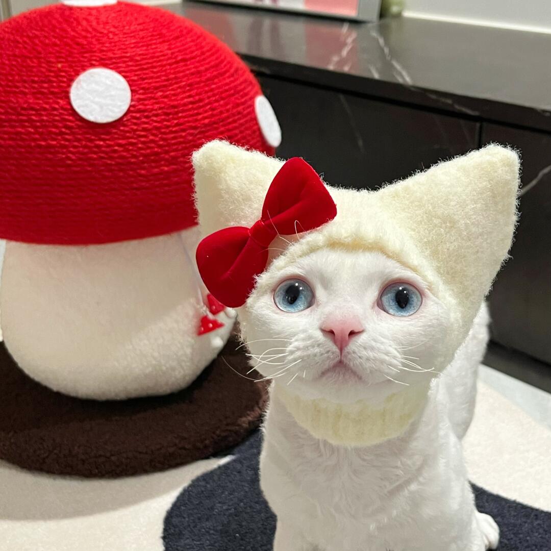 White with Red Bow Custom Knit Hat