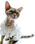 Lace-Trim Baby Dresses for Cats