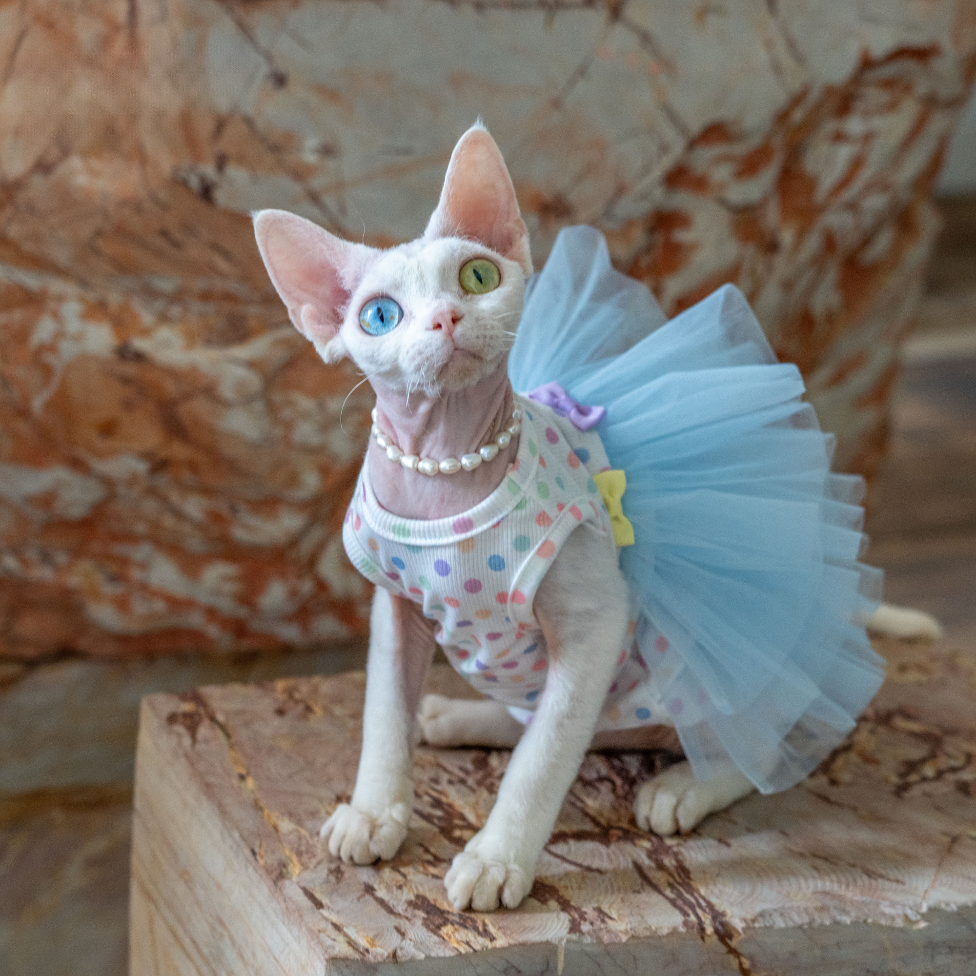 Layered Tulle Cake Dress with Wrinkle-Resistant Mesh Blue