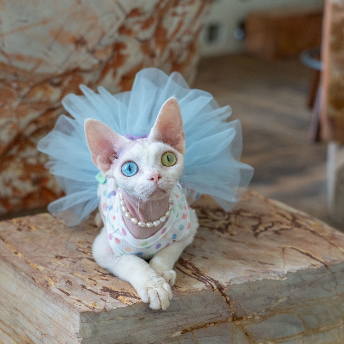 Layered Tulle Cake Dress with Wrinkle-Resistant Mesh Blue