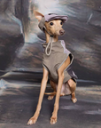 Italian Greyhound Raincoat Vest – Waterproof with Detachable Hood
