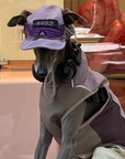 Italian Greyhound Raincoat Vest – Waterproof with Detachable Hood