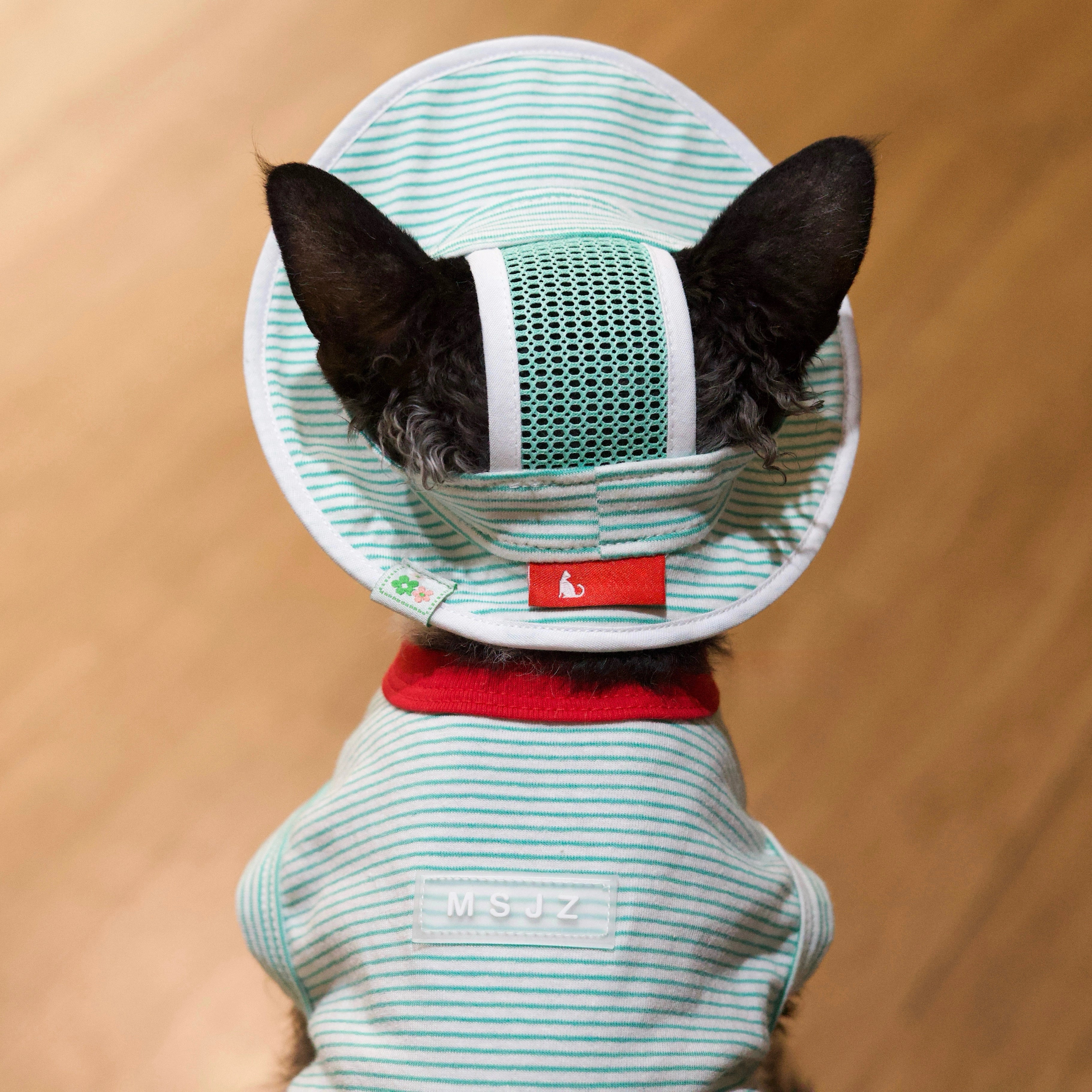 Mint Stripe Tee + Hat DevonRex Sphynx Cat Clothes