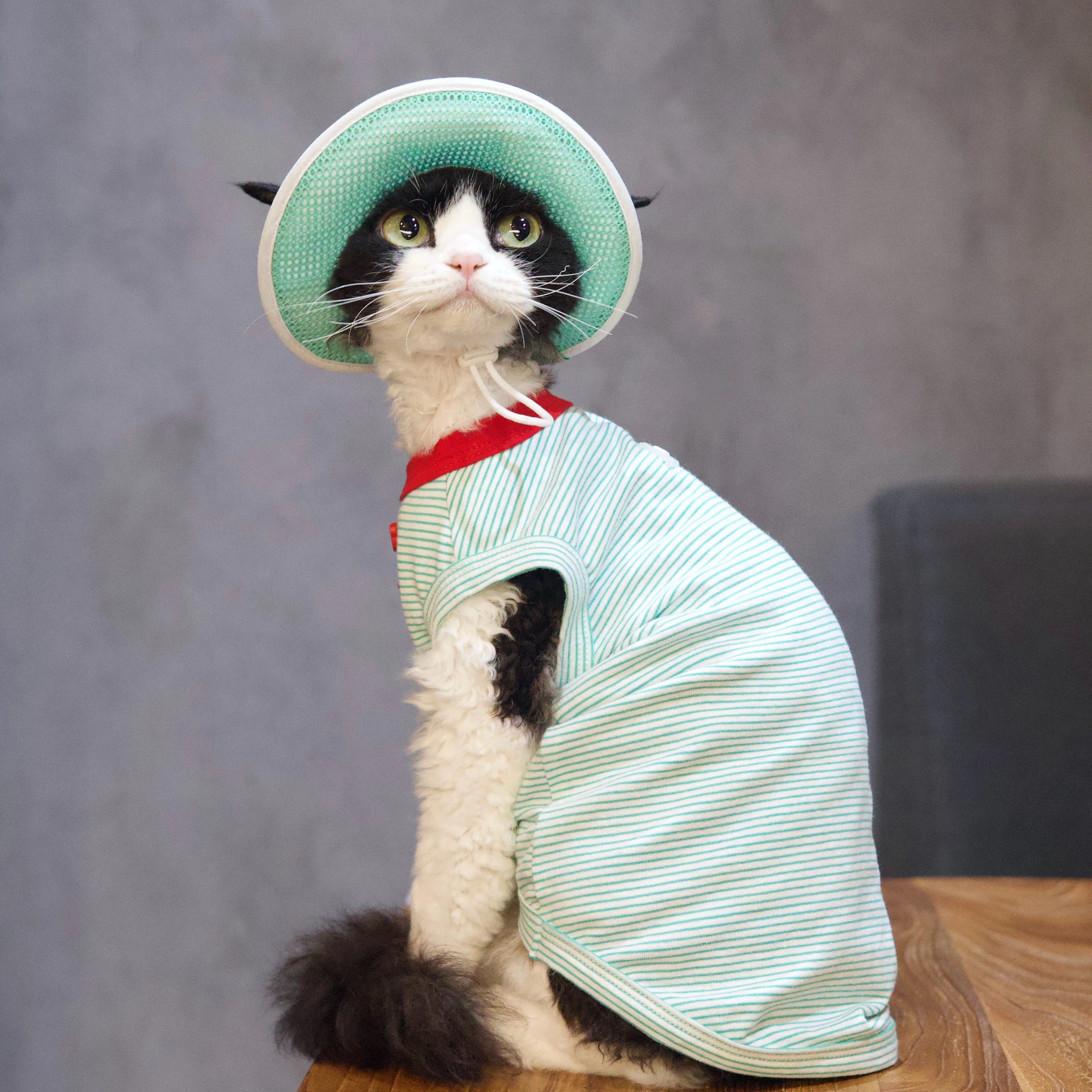 Mint Stripe Tee + Hat DevonRex Sphynx Cat Clothes