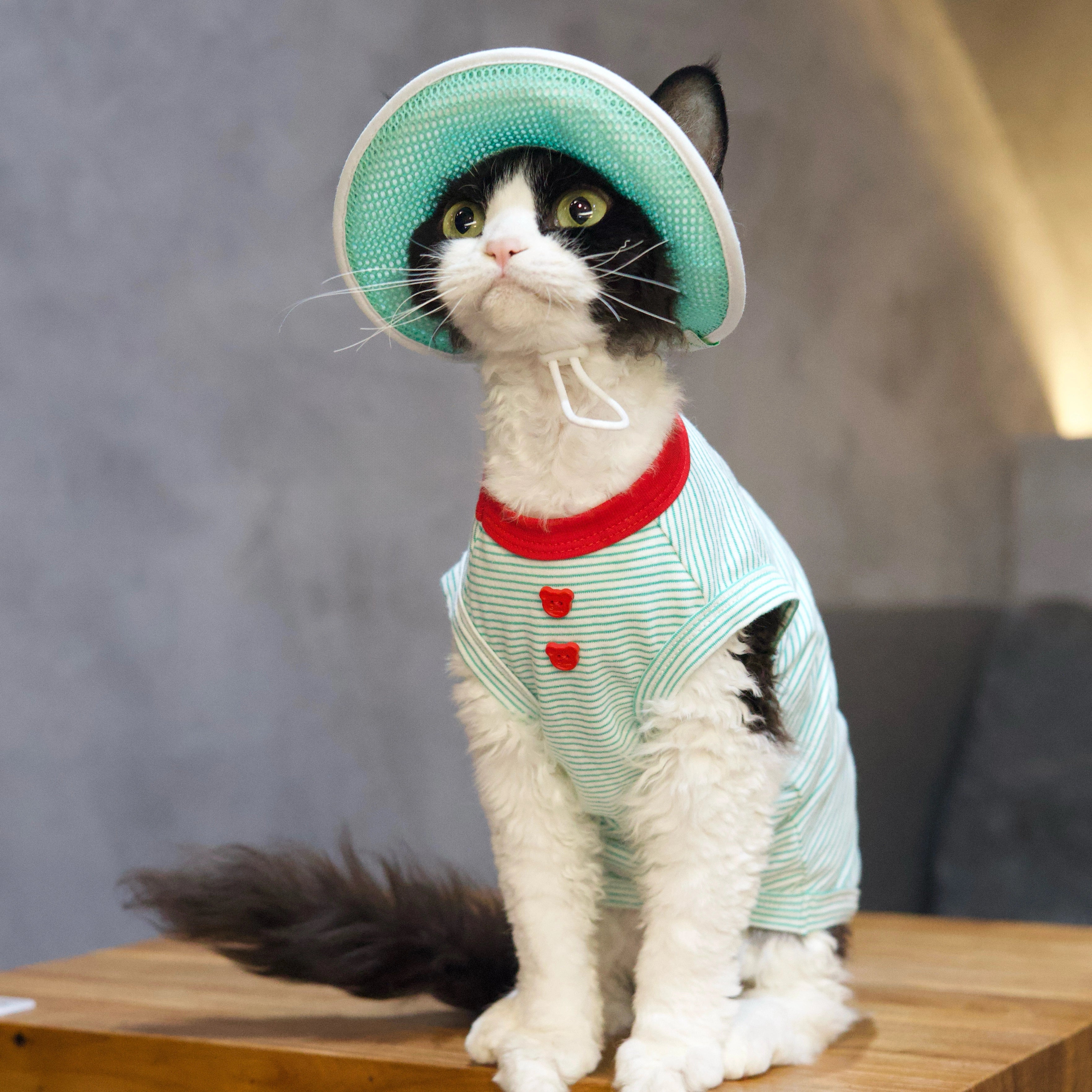 Mint Stripe Tee + Hat DevonRex Sphynx Cat Clothes