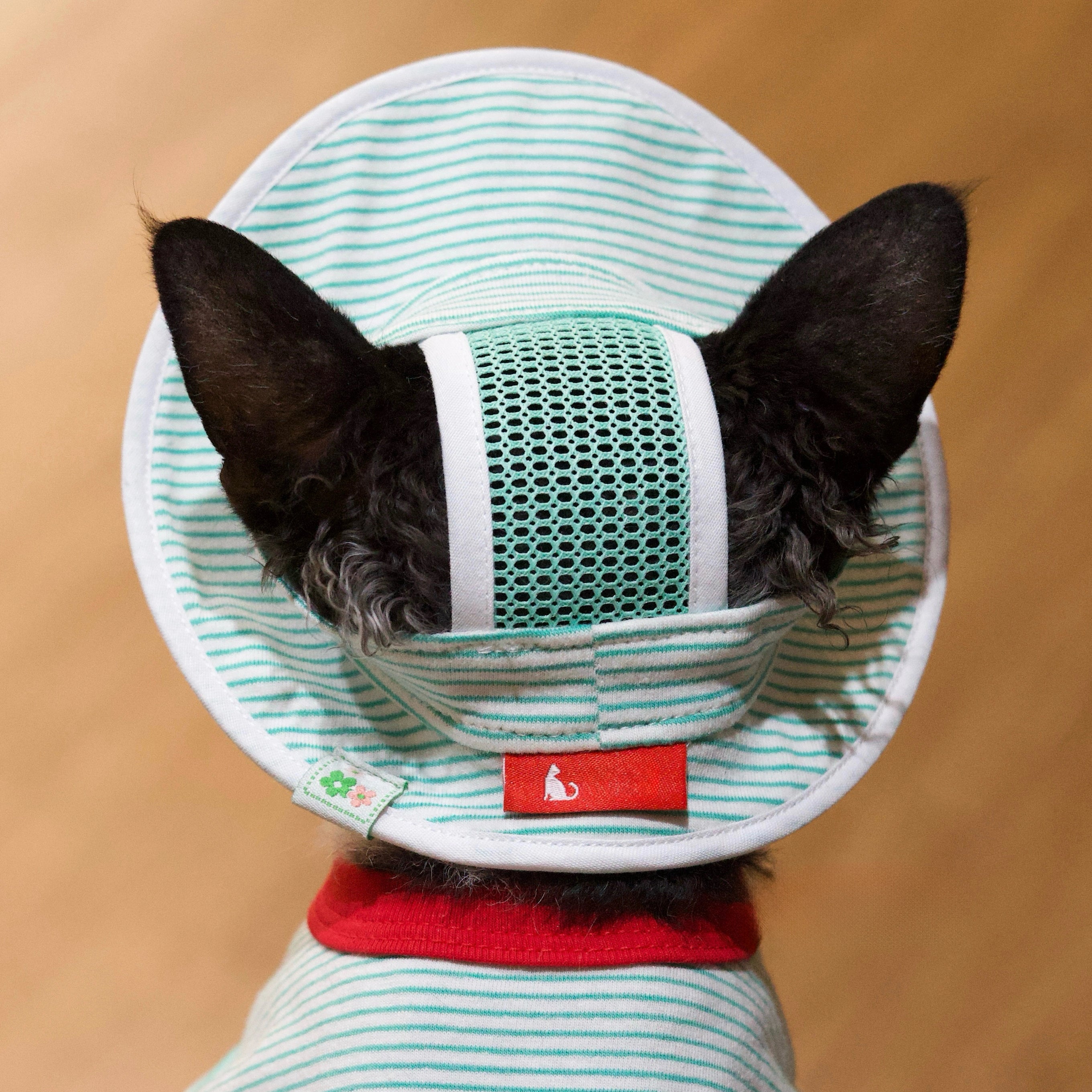Mint Stripe Tee + Hat DevonRex Sphynx Cat Clothes