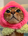 Peach Hat for Cat and Dog