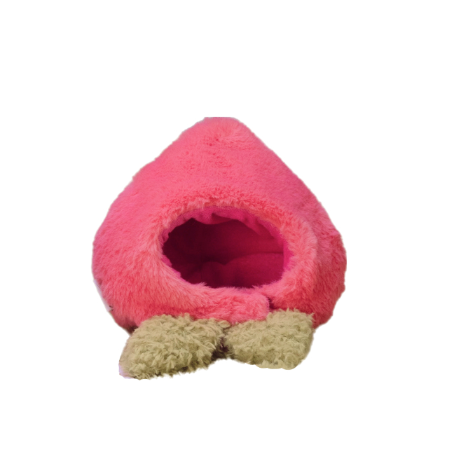 Peach Hat for Cat and Dog