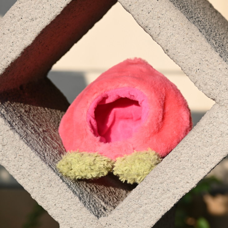 Peach Hat for Cat and Dog