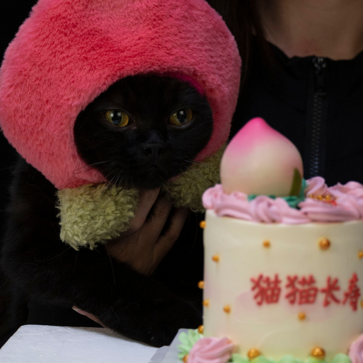Peach Hat for Cat and Dog