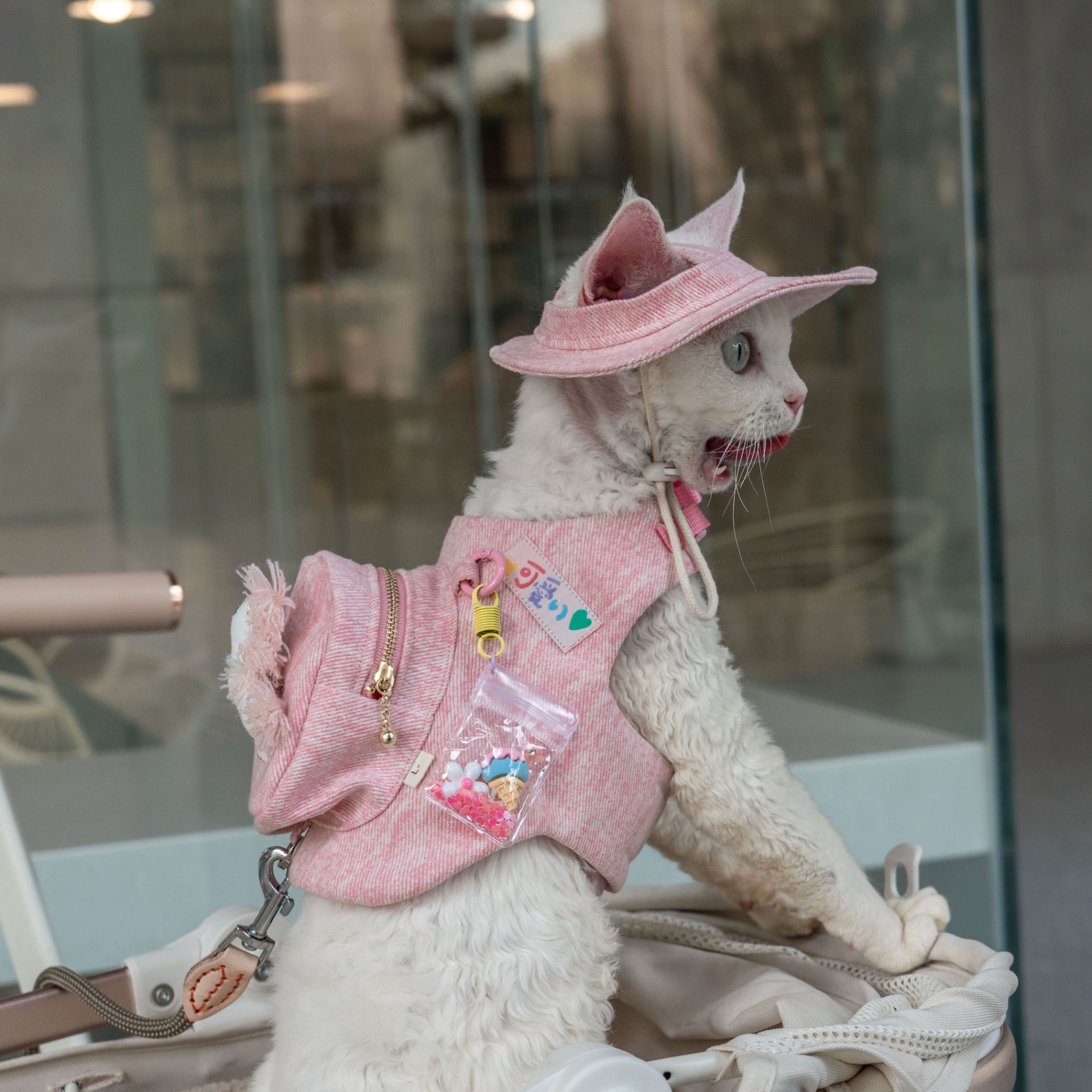 Pink Denim Backpack & Hat
