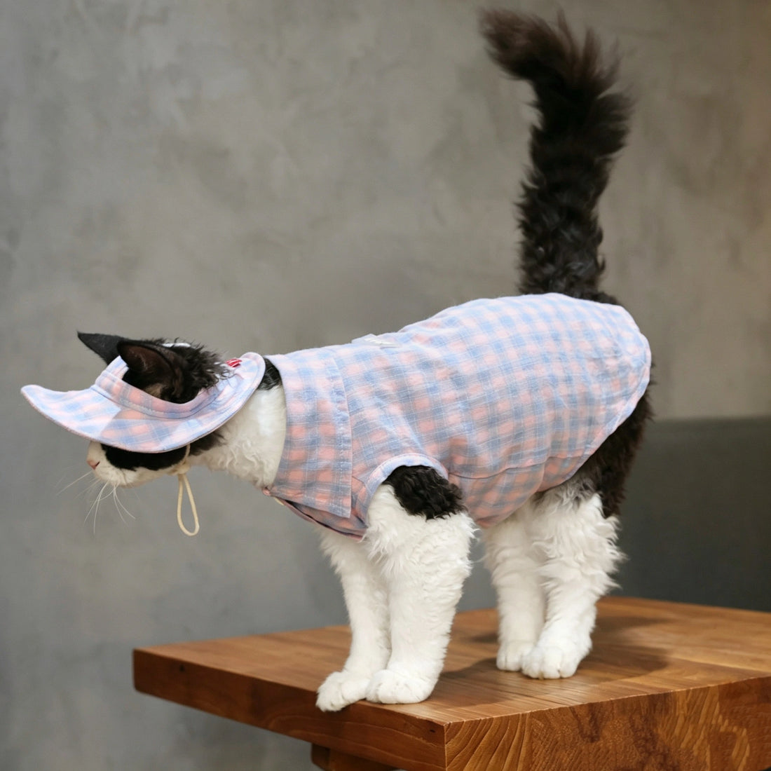 Pink Plaid Tank & Hat+Bandana – Devon/Sphynx Cat Clothes