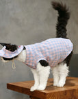Devon Rex cat wearing pink plaid bucket hat with chin strap, side profile