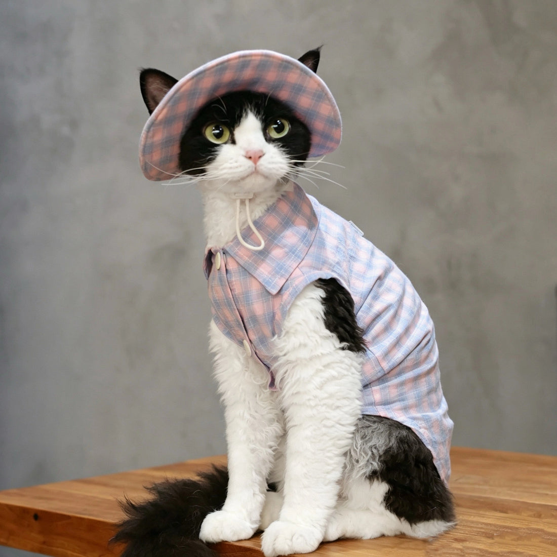 Pink Plaid Tank & Hat+Bandana – Devon/Sphynx Cat Clothes