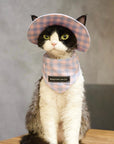 Cat wearing pink plaid hat and matching bandana, close-up front view