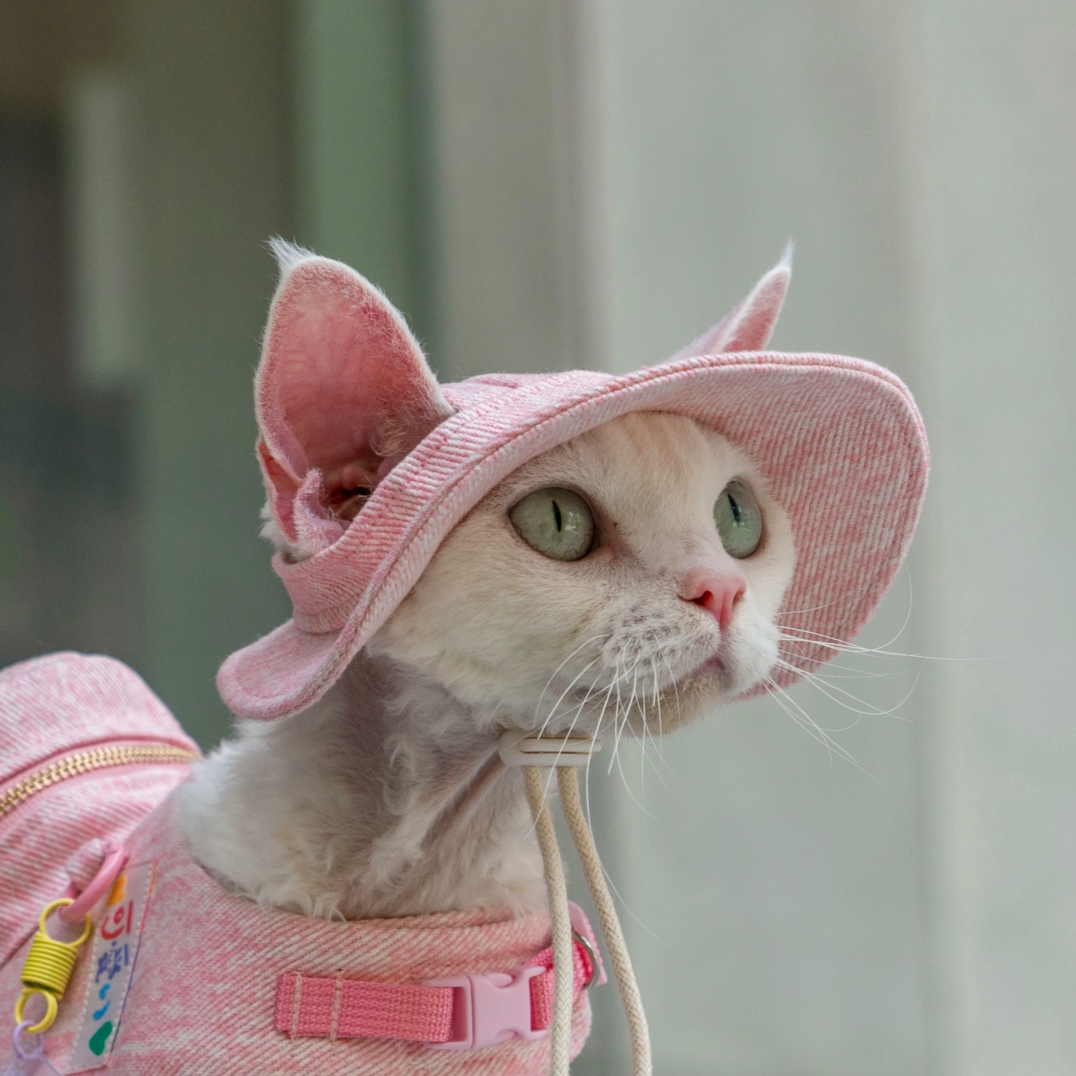 Pink Denim Backpack & Hat