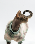 Plaid Reversible Soft Fleece Vest for Cats