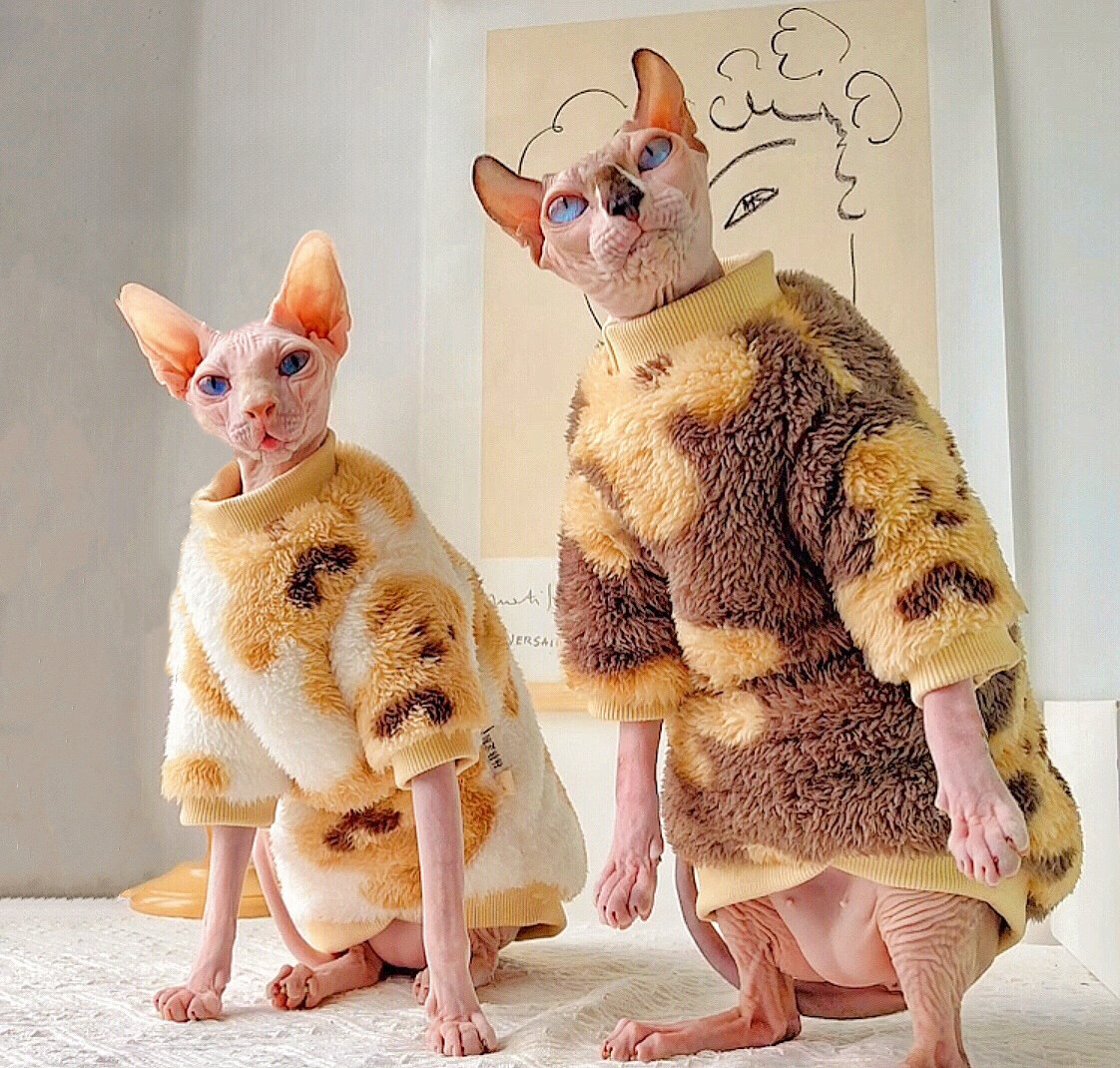 Plush Double-Sided Fleece Little Bear Shirts Sphynx Cat Clothes