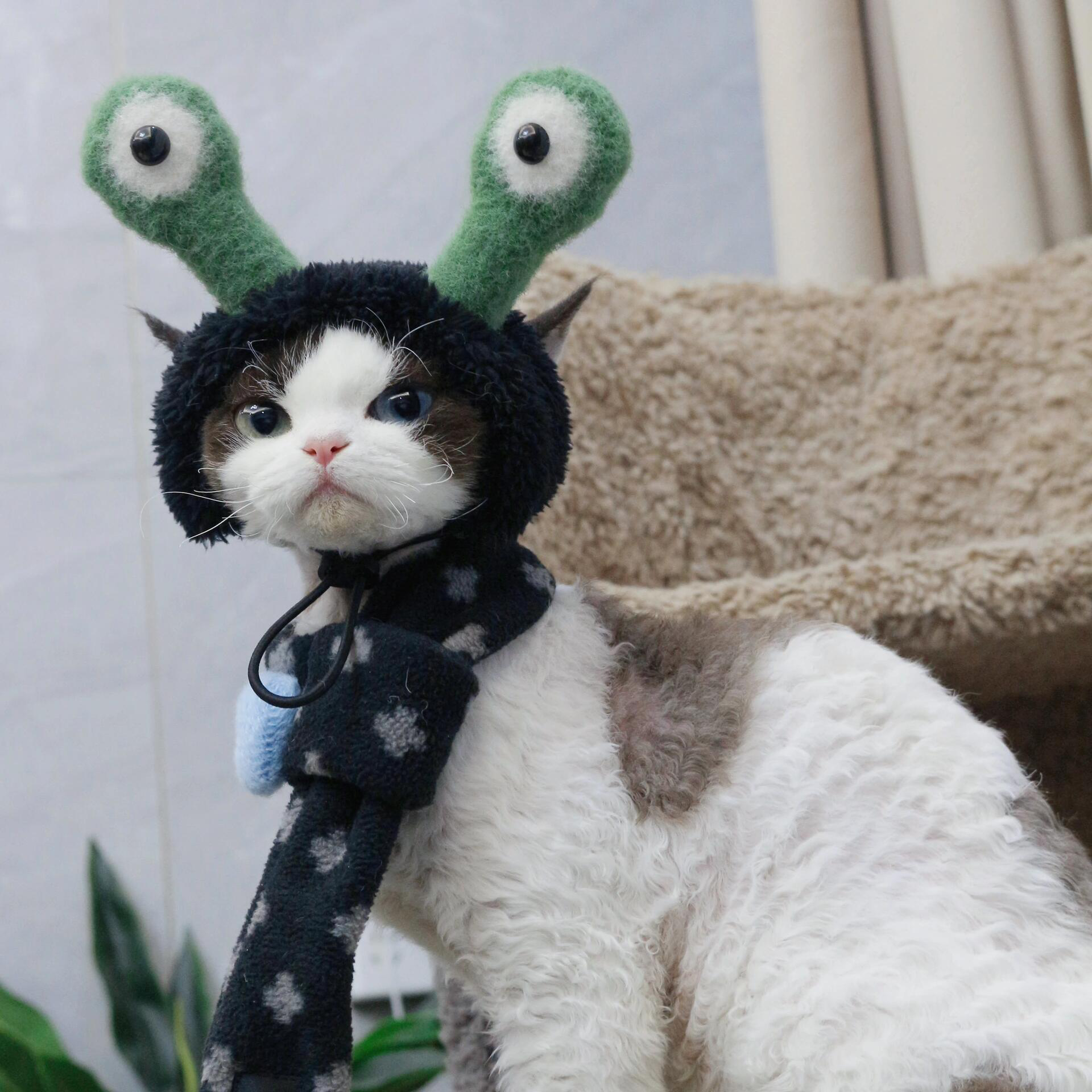 Quirky Frog Hat for Cat and Dog