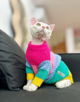 Sphynx Cat Rainbow Knit Sweater – Warm Pullover for Hairless Cats