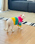 Sphynx Cat Rainbow Knit Sweater – Warm Pullover for Hairless Cats