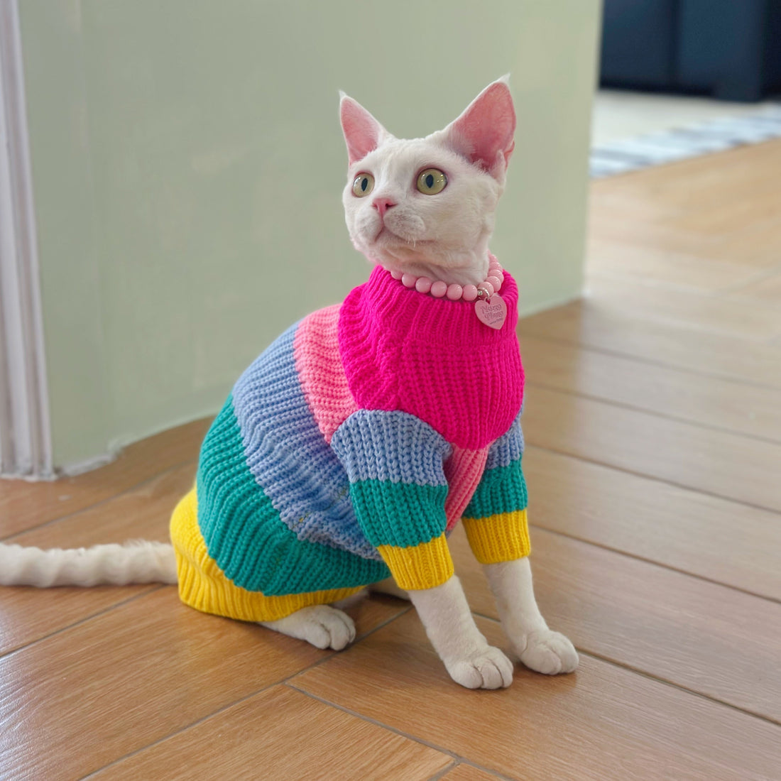 Rainbow Knit Sweater Sphynx Cat Clothes