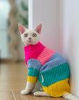 Sphynx Cat Rainbow Knit Sweater – Warm Pullover for Hairless Cats