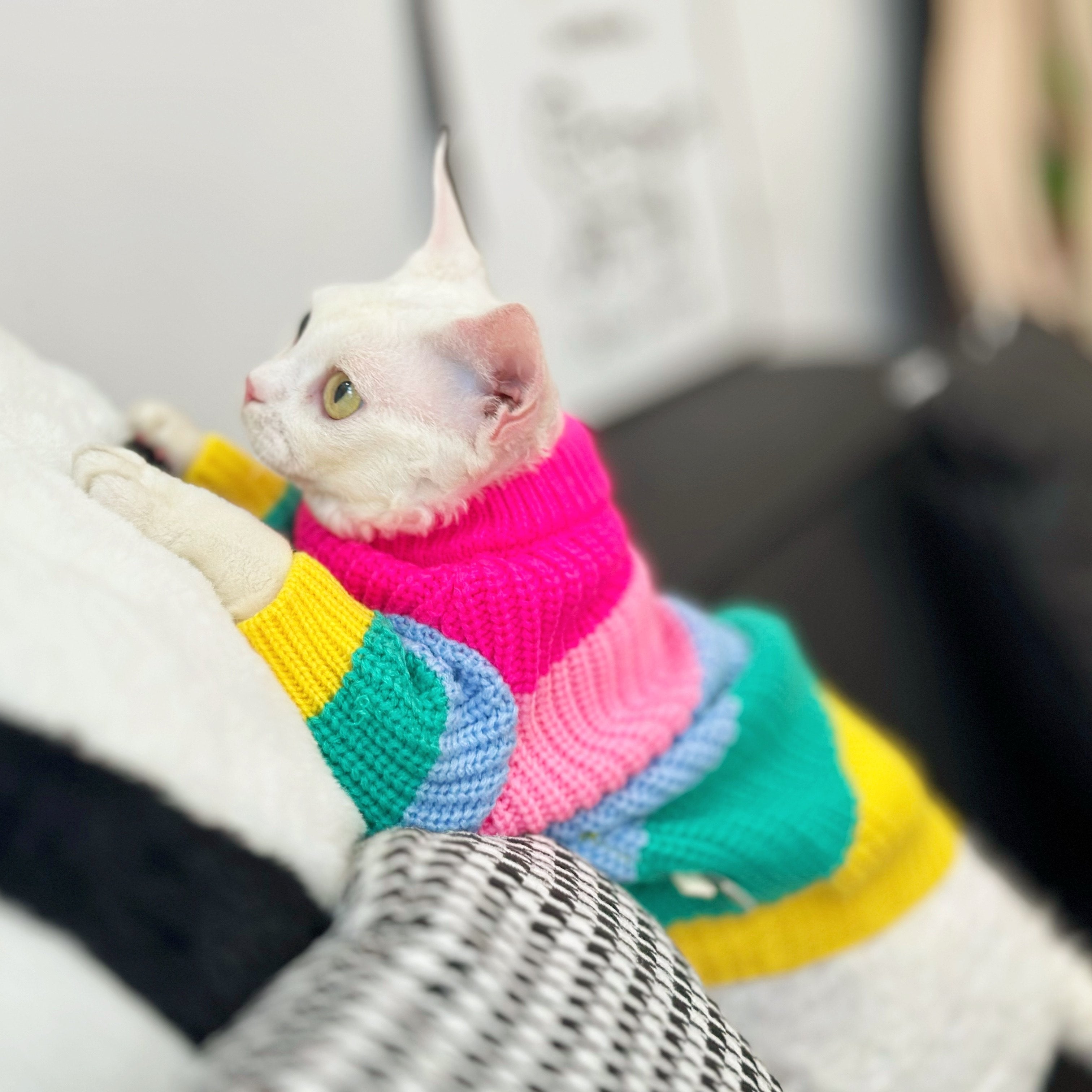Rainbow Knit Sweater Sphynx Cat Clothes