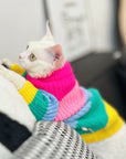 Sphynx Cat Rainbow Knit Sweater – Warm Pullover for Hairless Cats