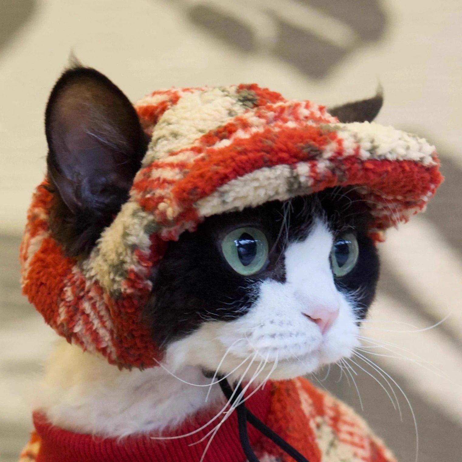 Red Plaid Set DevonRex Sphynx Cat Clothes