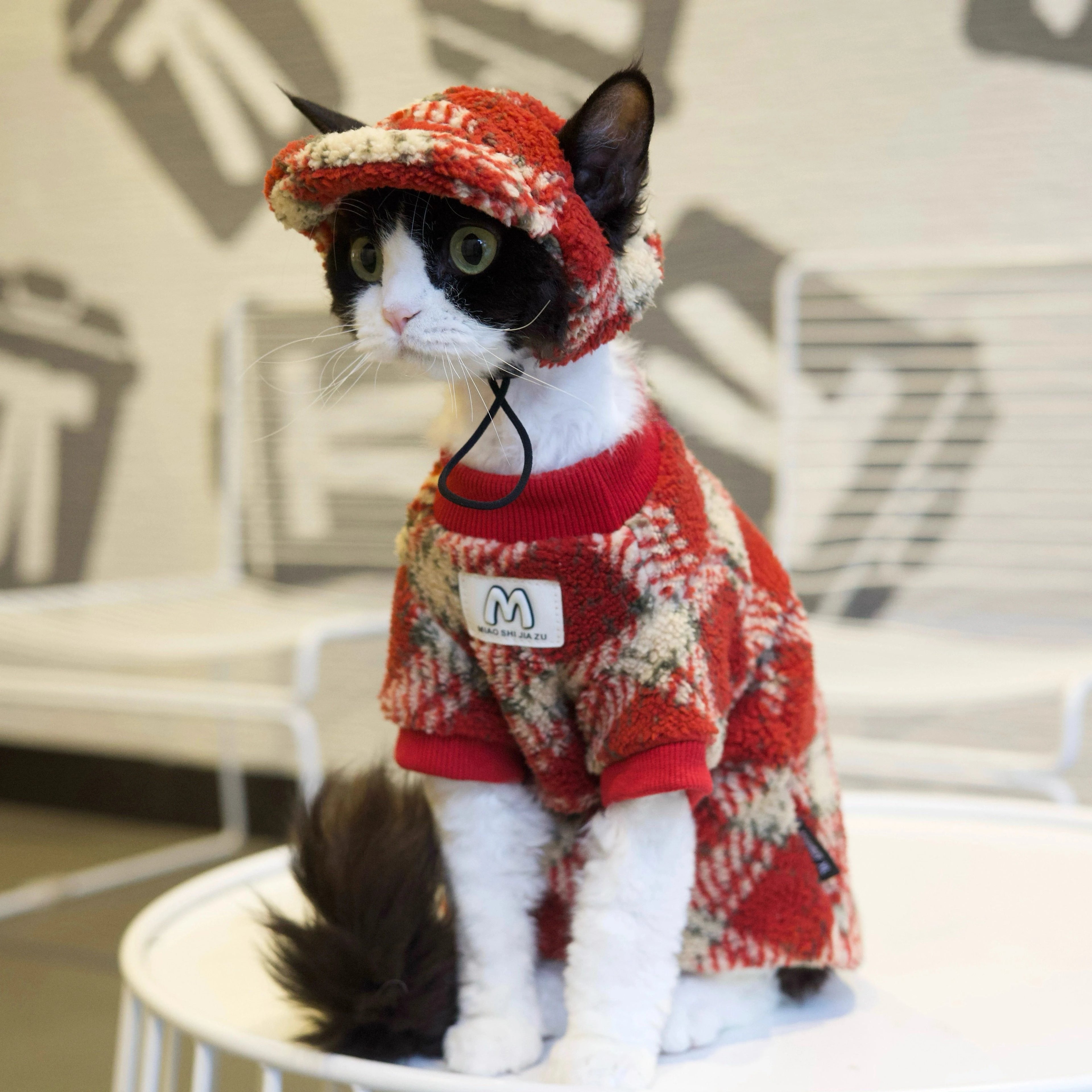 Red Plaid Set DevonRex Sphynx Cat Clothes