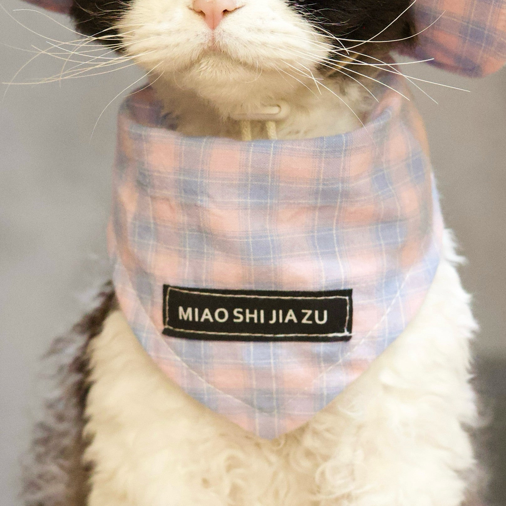 Pink Plaid Tank & Hat+Bandana – Devon/Sphynx Cat Clothes