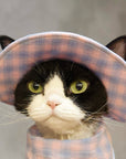 Close-up of Devon Rex cat's face wearing pink plaid bucket hat and bandana
