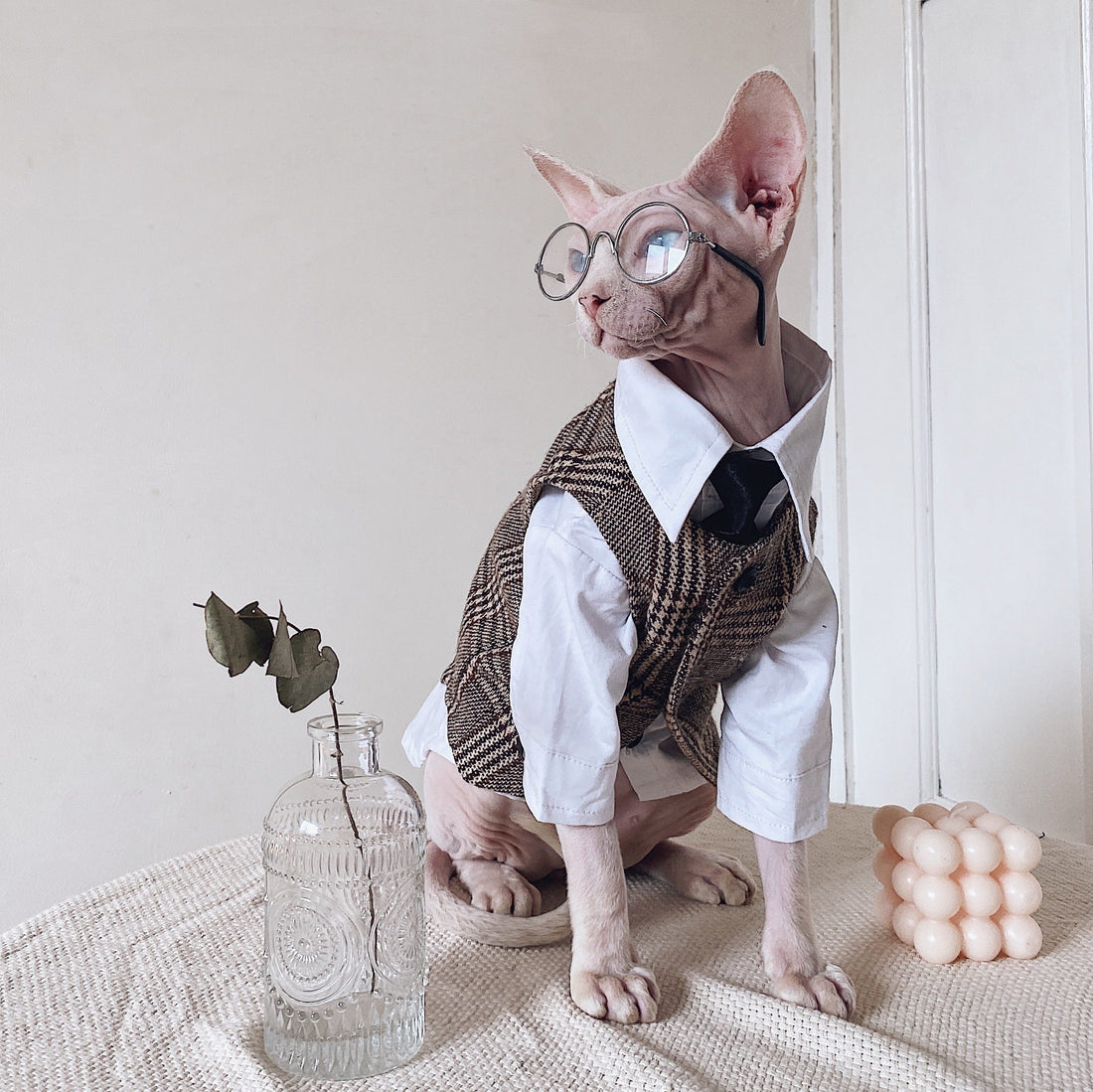 Tweed Three-Piece Suit for SphynxCat