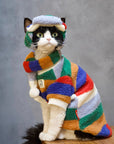 Sphynx Cat Shearling Set – Rainbow Fleece Top & Hat