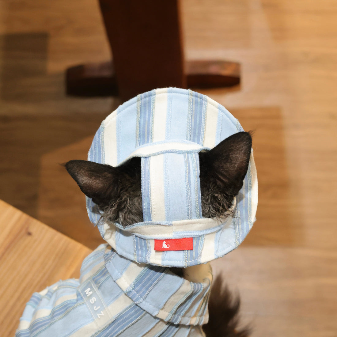 Sky Blue Striped Cotton Tee + Hat – Devon/Sphynx Cat Clothes