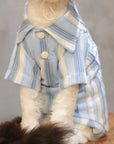 Sphynx Cat Outfit Set – Sky Blue Stripe Tee & Hat