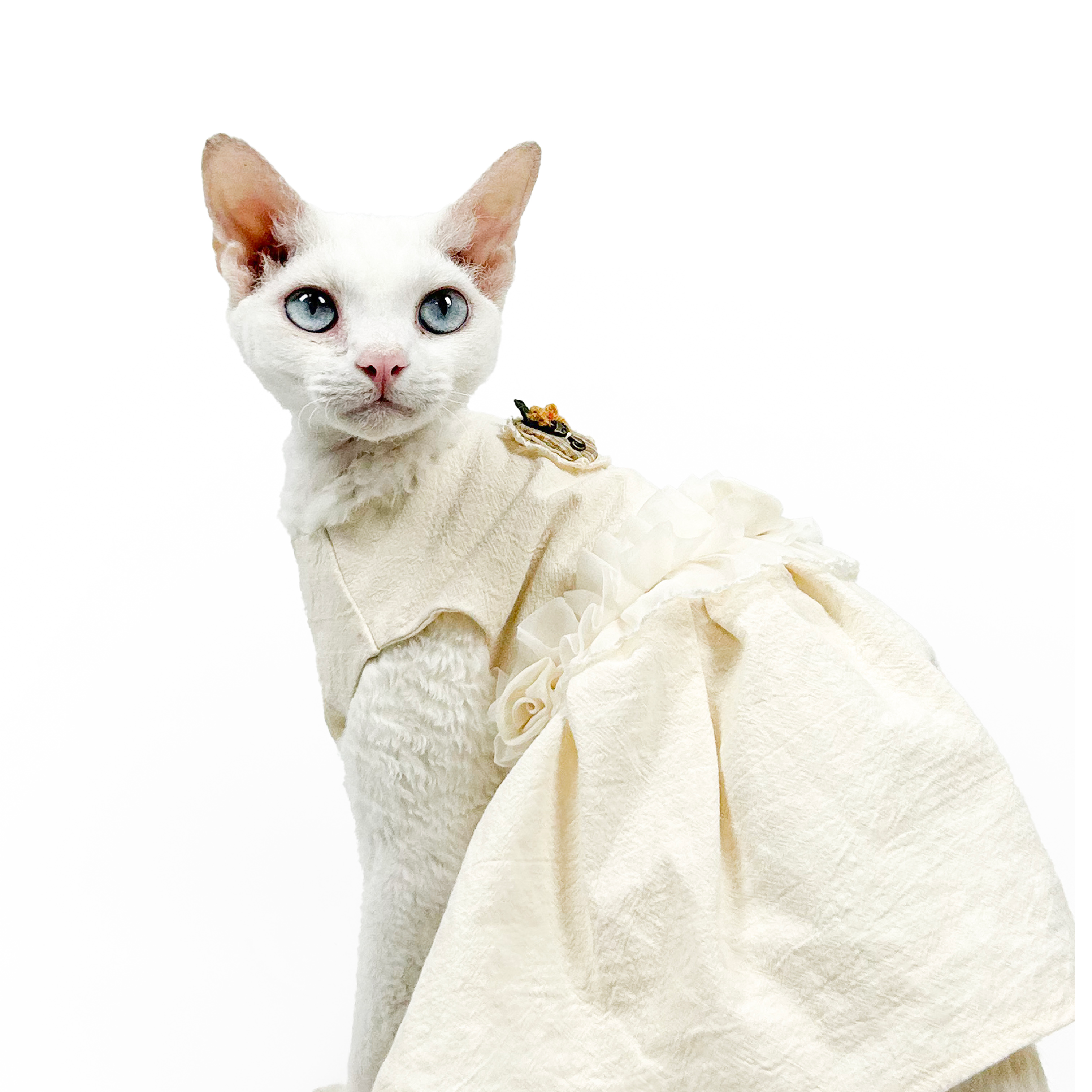 Elegant White Cotton Dress For Cats