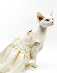Elegant White Cotton Dress For Cats