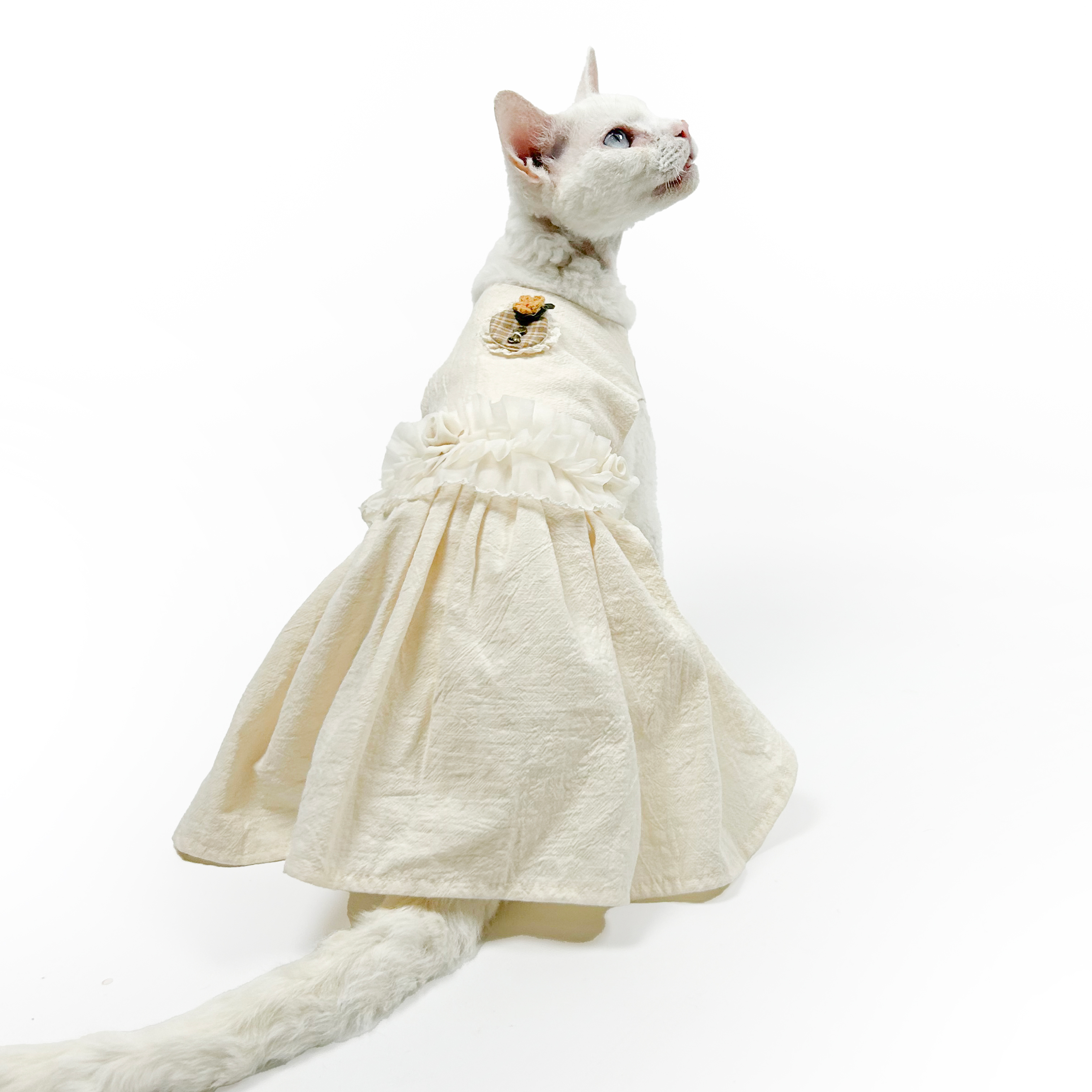 Elegant White Cotton Dress For Cats