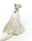 Elegant White Cotton Dress For Cats