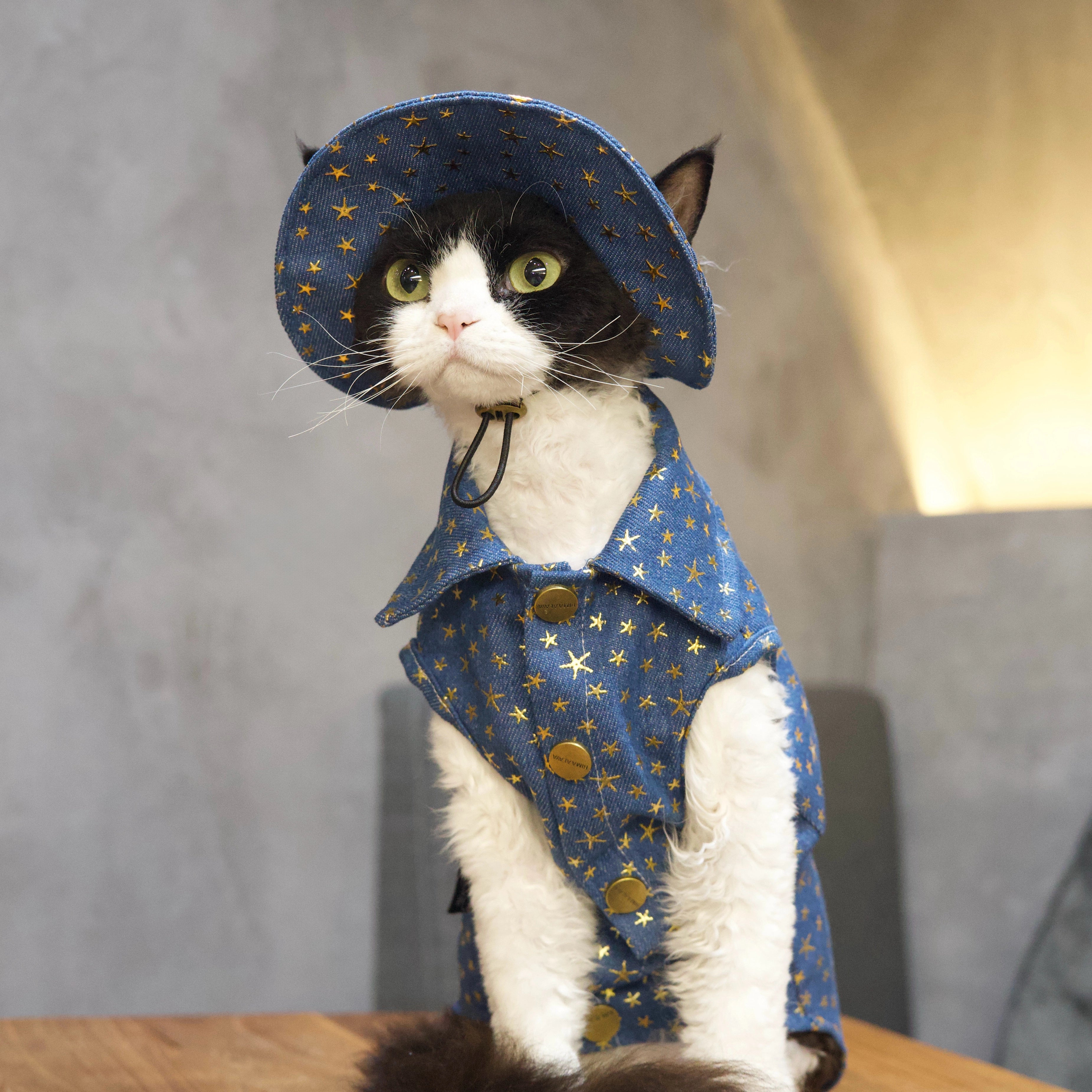 Star Denim Vest Outfit: Shirt + Hat + Buckle for Sphynx & Devon Rex
