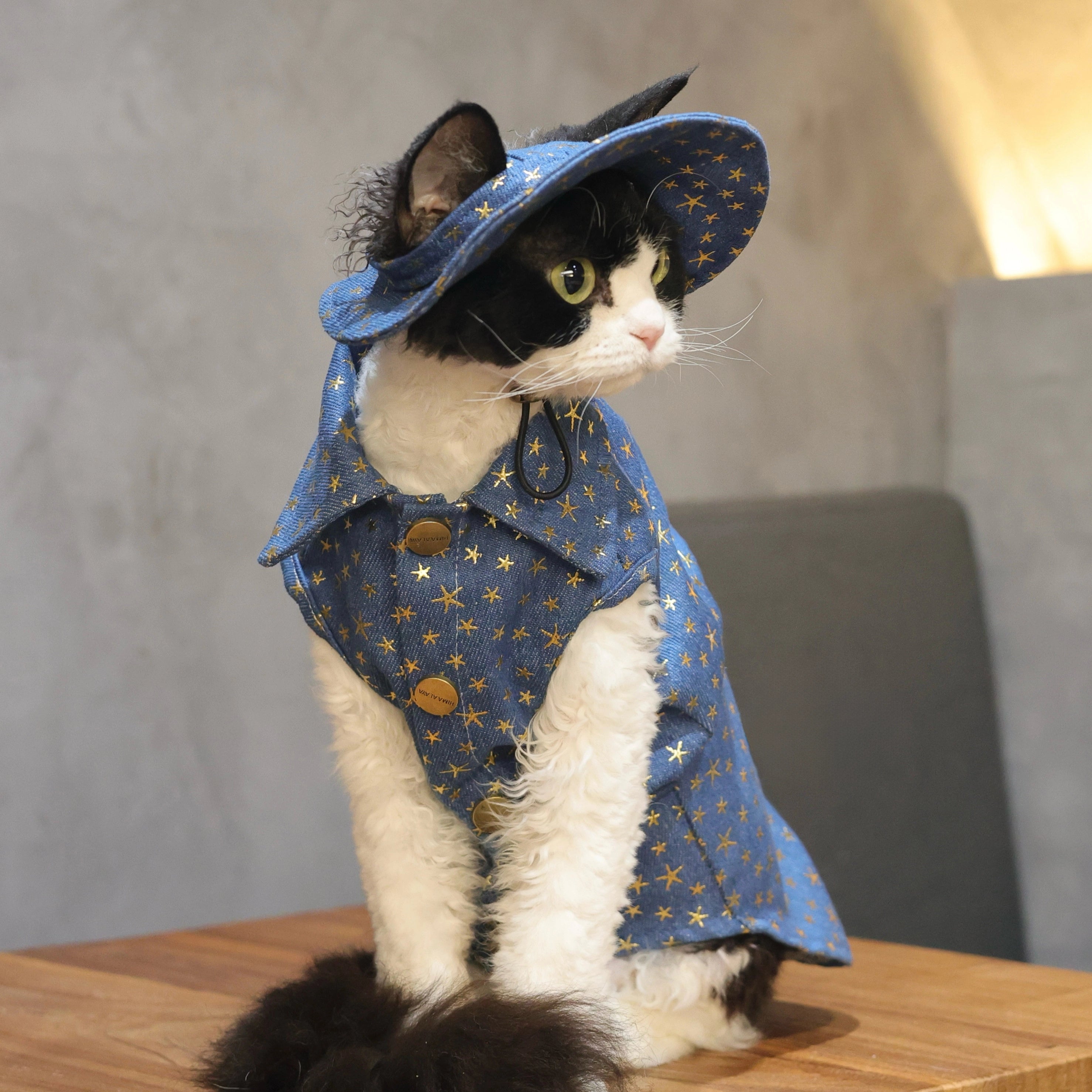 Star Denim Vest Outfit: Shirt + Hat + Buckle for Sphynx & Devon Rex