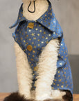 Sphynx Cat Denim Vest Set – Star Wash Shirt, Hat & Buckle
