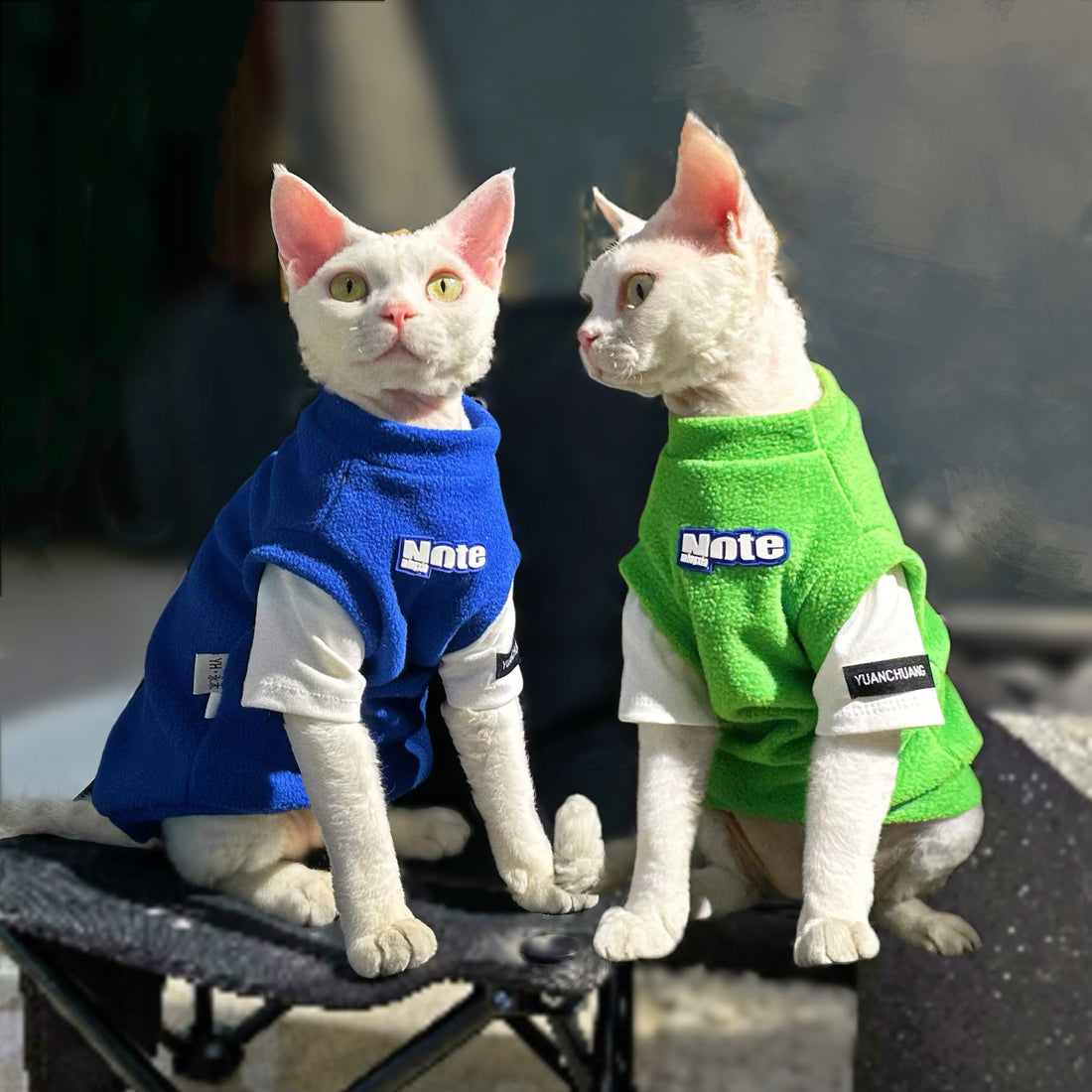 The 2-in-1 Polar Fleece Shirt Cat Clothes