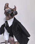 Three-piece suit for SphynxCat
