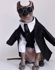 Three-piece suit for SphynxCat