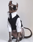 Three-piece suit for SphynxCat